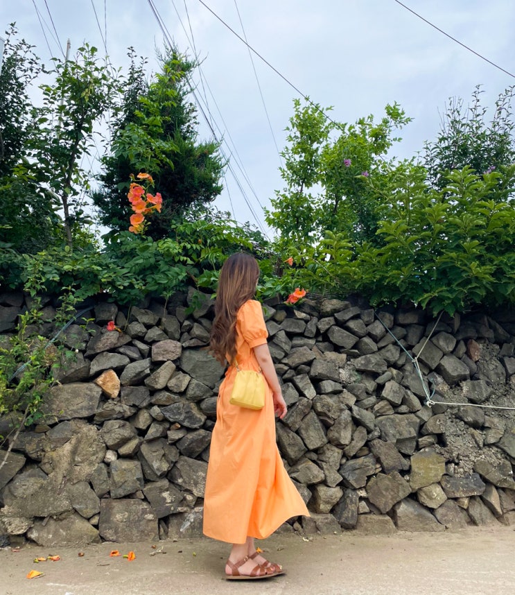  포항 여행 가볼만한곳 구룡포 일본인 가옥거리 (동백꽃 필 무렵 촬영지)