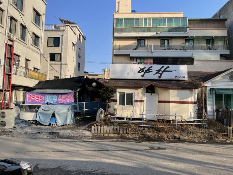  남춘천역 술집, 남춘천역 맛집 춘천 포장마차 분위기가 좋은 '야차'