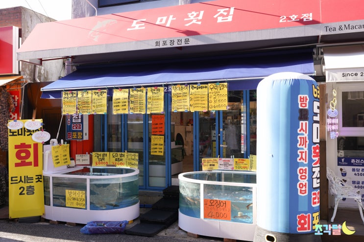  강릉중앙시장회센터 도마횟집 2호점에서 강릉 회포장했어요
