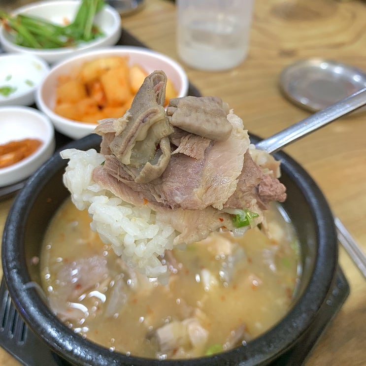 뜨끈했던 거제 아주동 맛집 아주돼지국밥