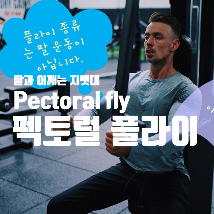  펙토럴 플라이(Pectoral fly), 펙토럴 플라이 운동방법, 가슴운동, 운동기구, 헬스 머신