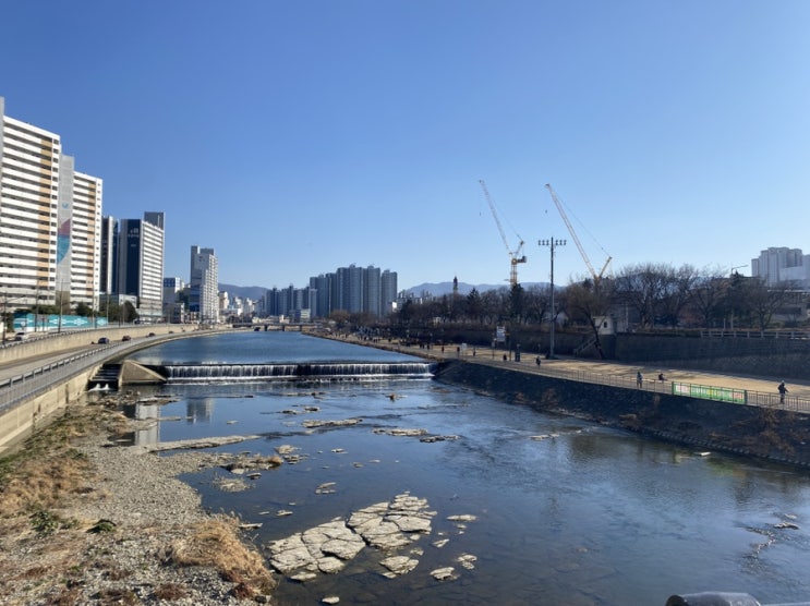 일상) 주말맞이 신천교 나들이