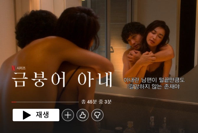  공블리뷰 넷플릭스 ① - 29금 드라마 [금붕어 아내] : 불행한 가정은 제각각 나름의 이유로 불행하다 (스포X)
