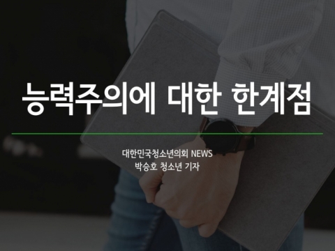 능력주의에 대한 한계점