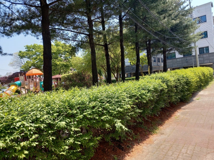 강원도 춘천시의 우묵들2공원 사진을 공유합니다.