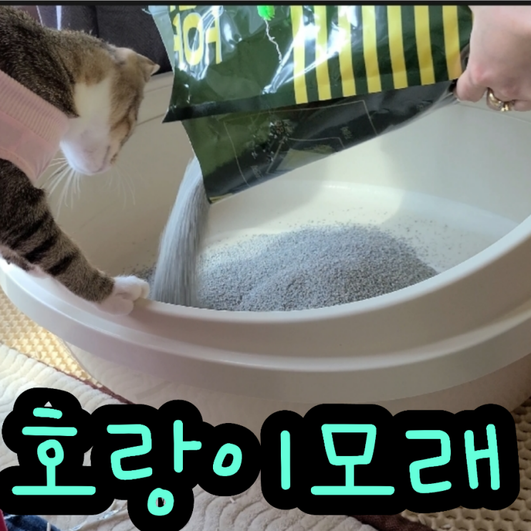 고양이모래추천 호랑이 모래  펫프렌즈 벤토나이트  사용후기