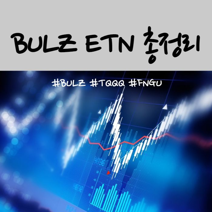  빅테크 레버리지 BULZ ETF 총정리