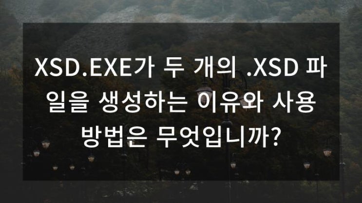 XSD.EXE가 두 개의 .XSD 파일을 생성하는 이유와 사용 방법은 무엇입니까?