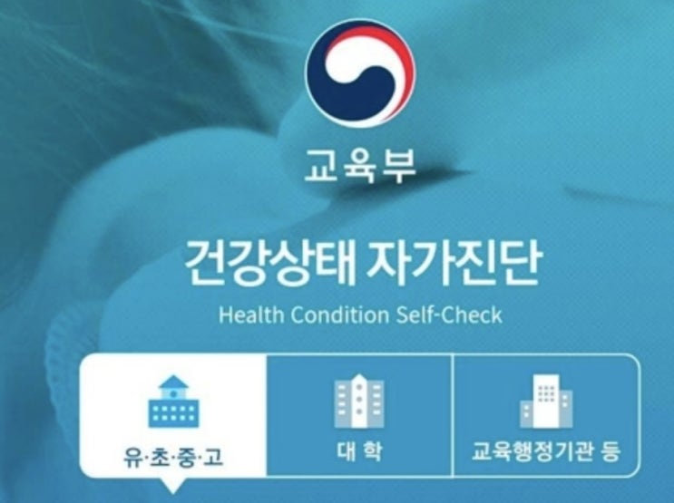  초중고 학교 등교전  신속항원검사 결과 입력 자가진단 앱 오류 개선