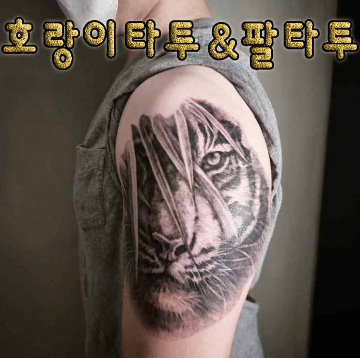  BAULART- 호랑이타투 / 동물 타투 / 블랙앤그레이 타투 / 맞춤 타투 / 팔 타투  / 수유 타투