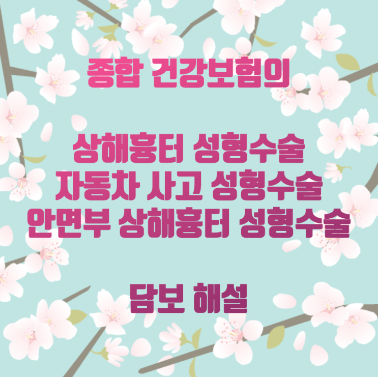 종합 건강보험의 상해흉터 성형수술, 자동차 사고 성형수술, 안면부 상해흉터 성형수술 담보 해설