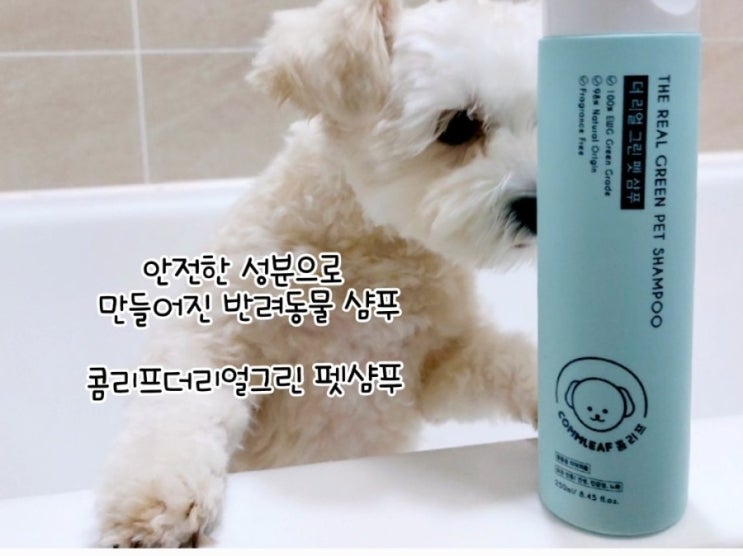  오늘 두부는 셀프미용 후 건강한 자연과 반려동물의 쉼표, 콤리프 더 리얼 그린 펫 샴푸를 사용해 목욕했어요.