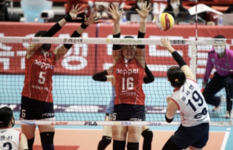 KOVO 프로배구 3일 국내 여자배구 KGC인삼공사 페퍼저축은행 KOVO 프로배구 3일 국내 여자배구 KGC인삼공사 페퍼저축은행