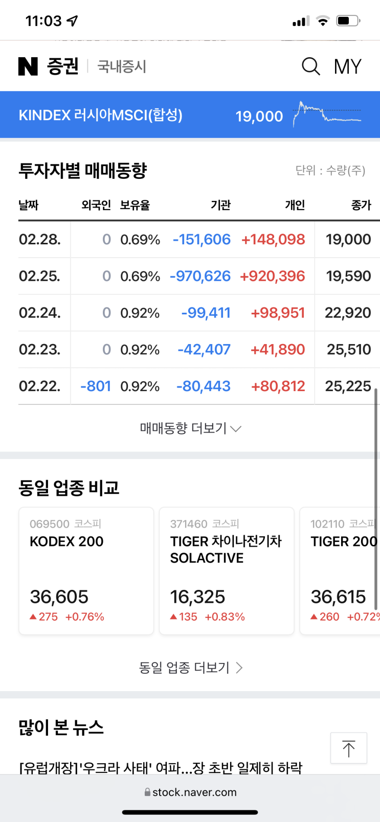  KINDEX 러시아MSCI(합성) 개인 매수와 생각