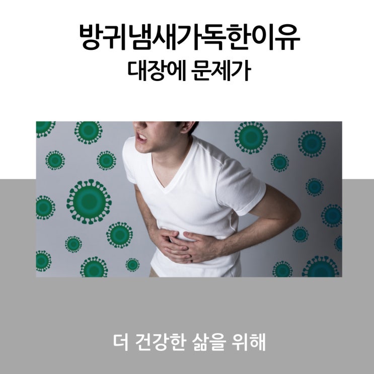 방귀냄새가독한이유 대장에 문제가?