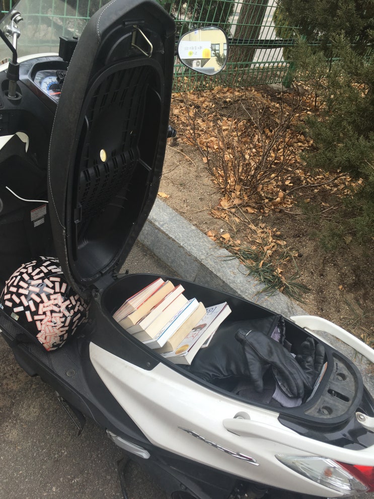  서대문 도서관에는 숲속의 화장실이?(도서관회원증 사용 꿀팁)