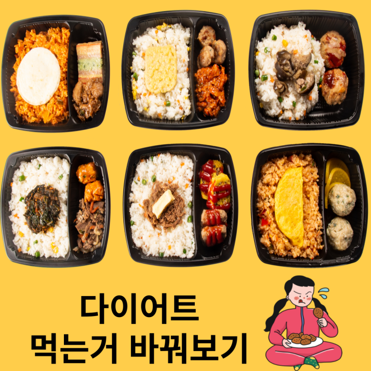  다이어트 식단이 가장 중요(맛없는건 싫어요..)
