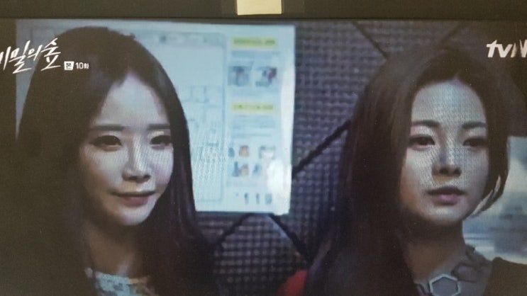 bj채보미 비밀의숲 출연 bj채보미 비밀의숲 출연