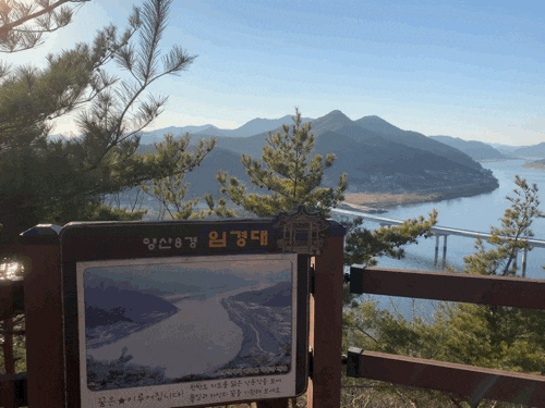  양산가볼만한곳 / 임경대 / 순매원 들렀다 임경대 가기!