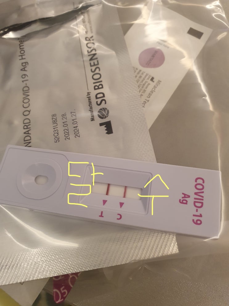  동거인 확진 판정 후 일주일 자가격리후기 ️ PCR검사 결과, 가족관계증명서, 양성증상, 자가격리 물품지원, 동거인 자가격리, 격리통지서, 자가격리 지원금 ️
