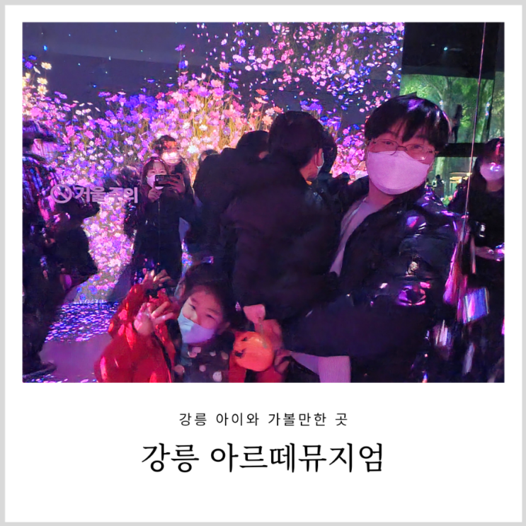 강릉 아르떼뮤지엄 티바(TEABAR) 아이와 가볼만한 곳 (가격, 할인) 강릉 아르떼뮤지엄 티바(TEABAR) 아이와 가볼만한 곳 (가격, 할인)