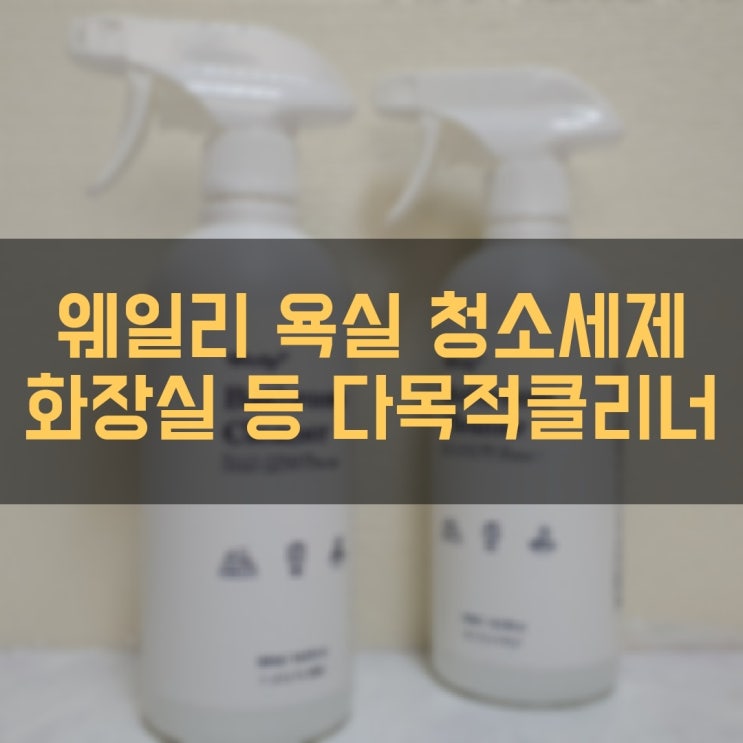 웨일리 욕실청소세제 화장실클리너로 봄맞이 화장실청소 끝