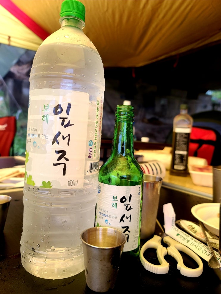  캠핑) 천안 북면계곡 첫캠핑