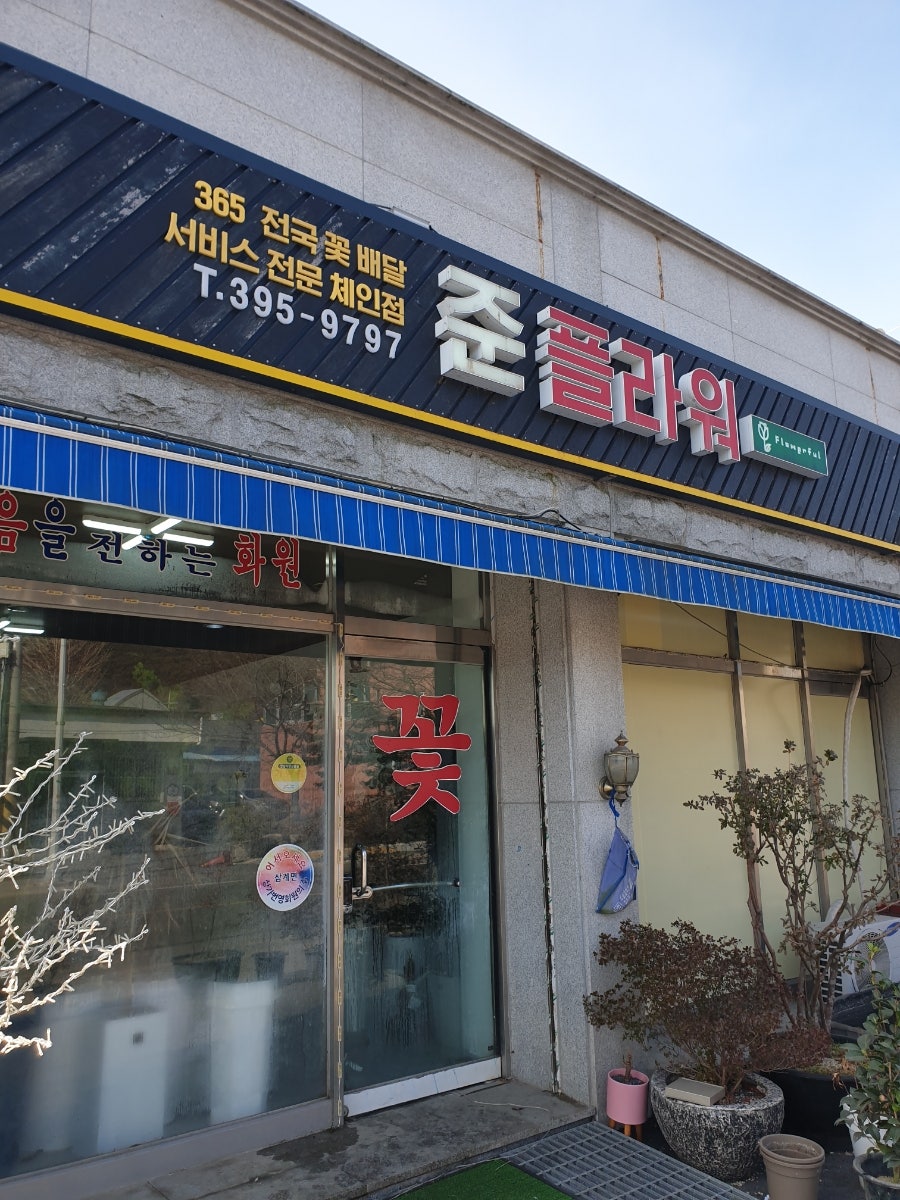 준플라워 사진 1