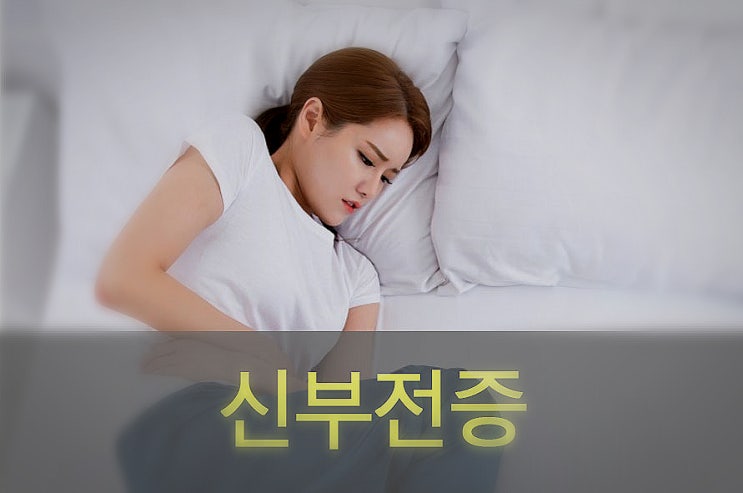  급성, 만성 신부전증 원인과 증상, 예방, 좋은 음식