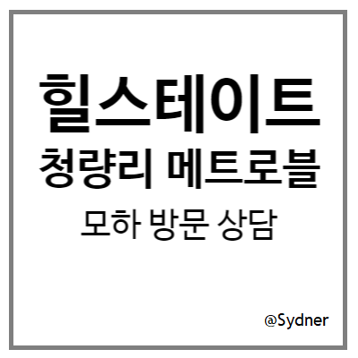 힐스테이트 청량리 메트로블 모델하우스 방문, 도생 계약 상담 후기 힐스테이트 청량리 메트로블 모델하우스 방문, 도생 계약 상담 후기