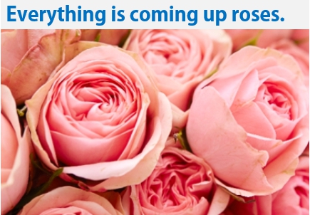 Everything is coming up roses 만사형통이야 영어 표현