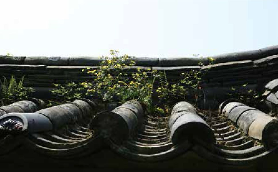 명가원 사진 4