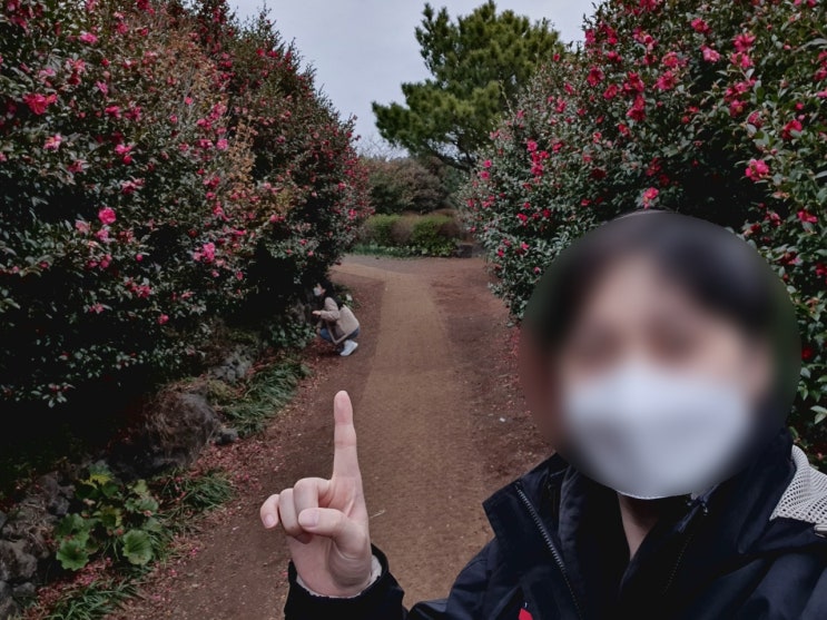  제주 카멜리아힐  넘 행복했던 하루