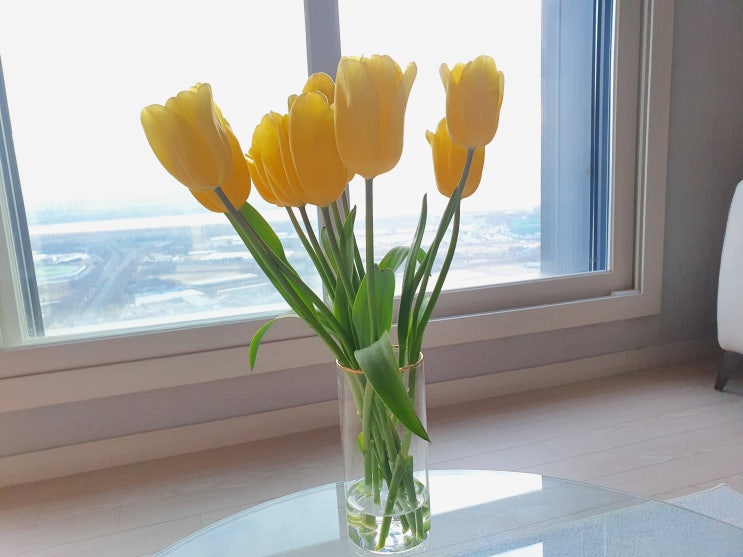  일산 GA 보험대리점 온라인영업 함께해요.