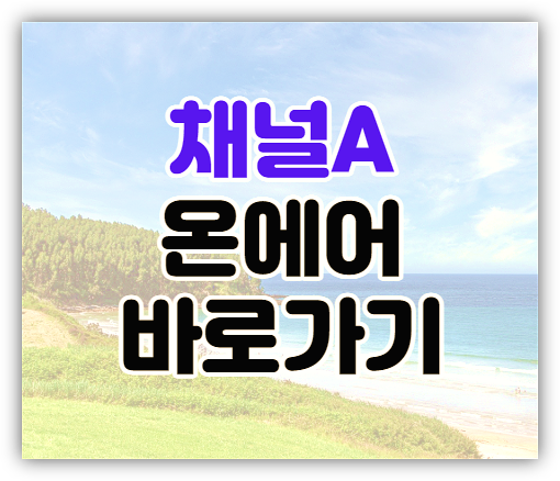 채널A 온에어 편성표 예능 드라마 실시간 무료 보기 채널A 온에어 편성표 예능 드라마 실시간 무료 보기