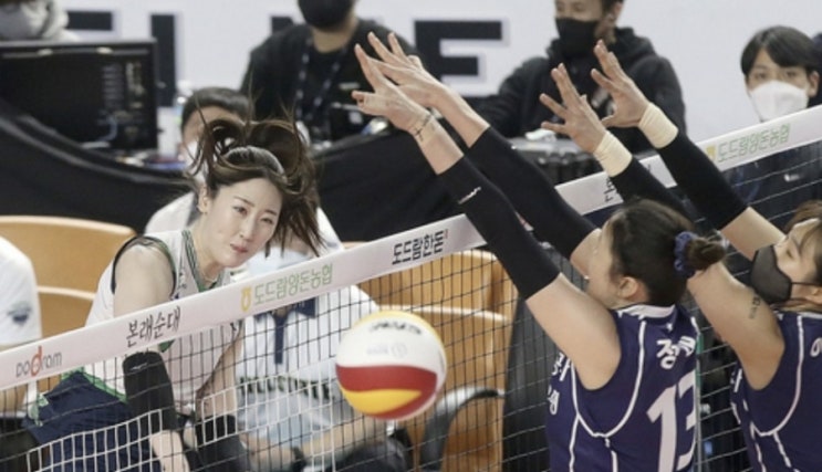 KOVO 프로배구 1일 국내 여자배구 현대건설 도로공사 KOVO 프로배구 1일 국내 여자배구 현대건설 도로공사