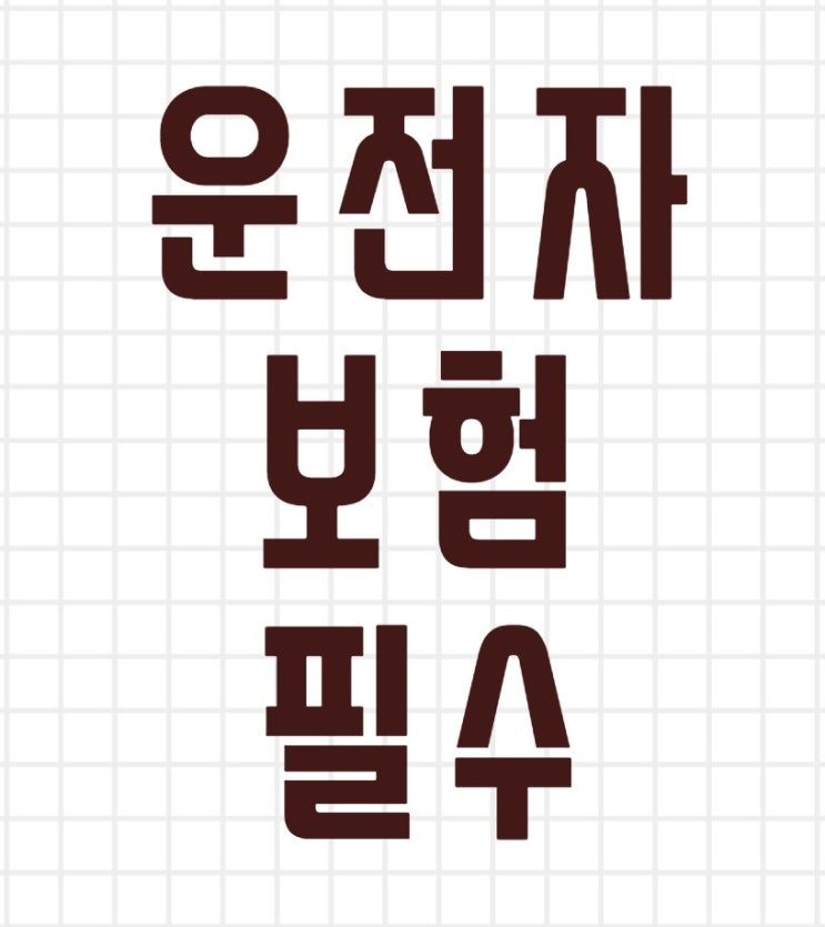  요새는 선택이 아닌 운전자보험 필수로 가입하기
