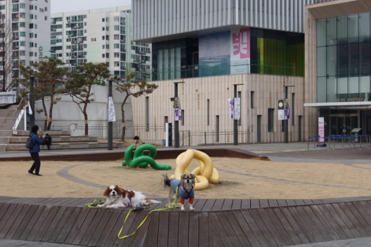  초보운전 엄마의 2월 28일 연차