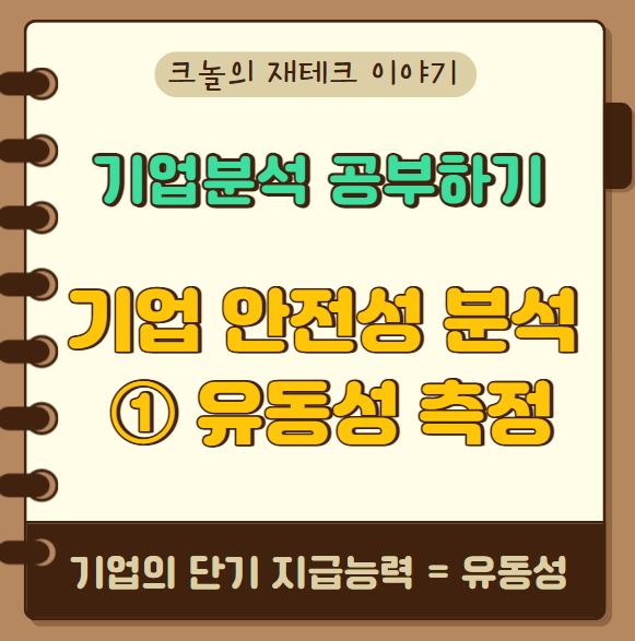  기업 안전성 분석하기_유동성 측정