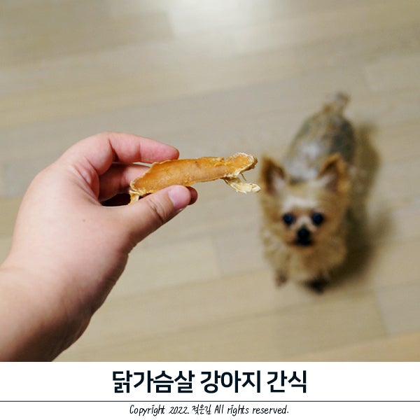 내맘대로 만드는 노브랜드 냉동 닭가슴살 강아지 간식 내맘대로 만드는 노브랜드 냉동 닭가슴살 강아지 간식