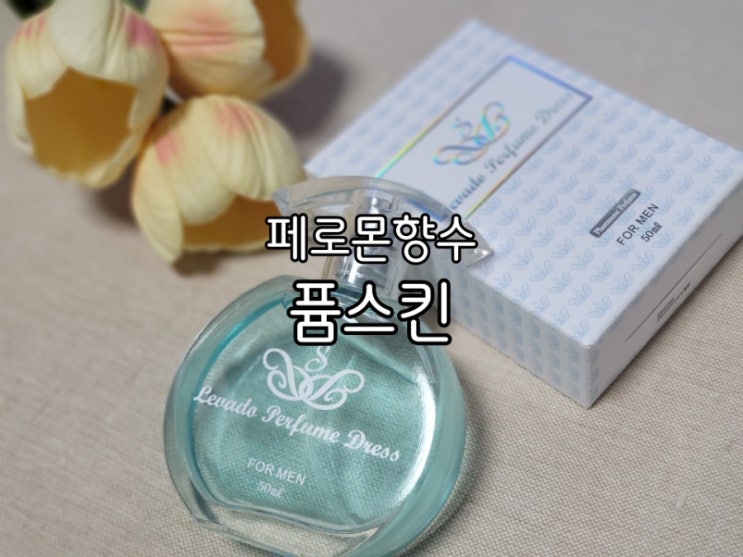 남자 봄 향수 퓸스킨 세련된 향의 페로몬향수 남자 봄 향수 퓸스킨 세련된 향의 페로몬향수