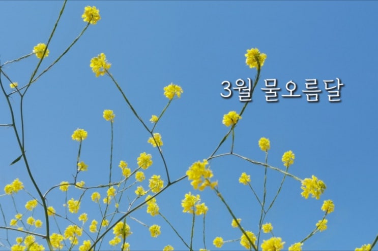  안녕, 물오름달