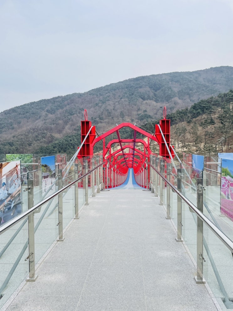  산청 동의보감촌 : 무릉교 흔들다리 장관이 펼쳐진 얼음폭포