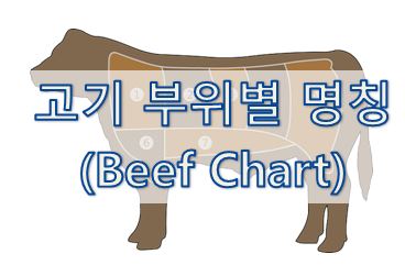 [영어 상식] 소고기 부위별 영어 명칭 (Beef Charts)