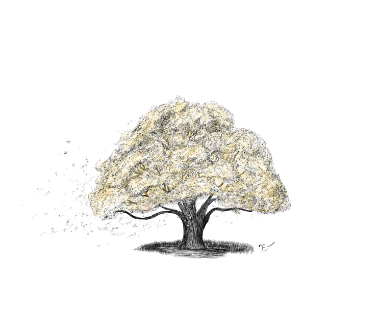  참나무 그림 20220228