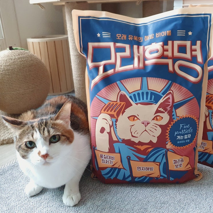  모래혁명 은 진짜 혁명이다!! 가성비 갑 고양이벤토나이트추천