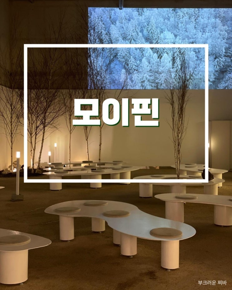  여수 대형 카페 모이핀