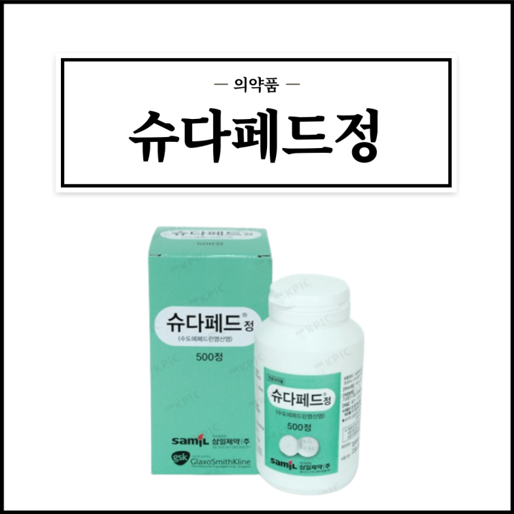  슈다페드정, 효능효과/복용법/부작용/주의사항 등 간단정리