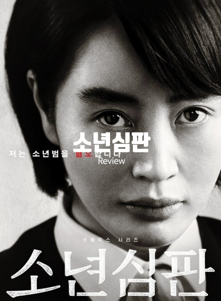  넷플릭스 소년심판 결말 등장인물 리뷰 실화 모티브 법정 드라마 추천