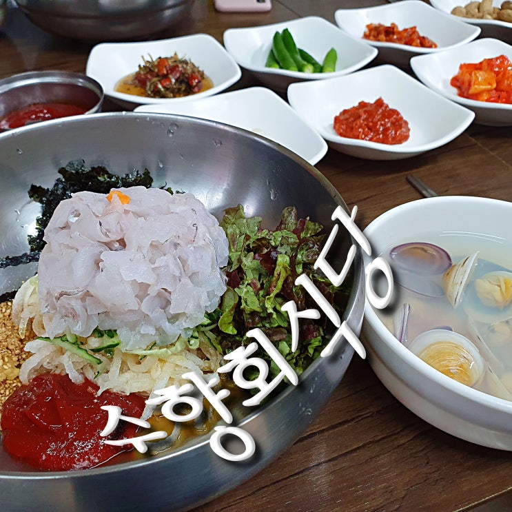  포항 죽도시장 물회 맛집, 수향회식당 두 번 다녀온 후기 (국물 없는 포항 전통 물회 포장)